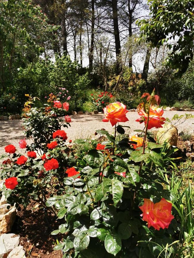 La Maison du Soleil Provence Draguignan Extérieur photo